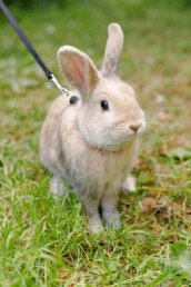 TVD-Partner-für-Tierärzte-(16)